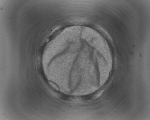 X0000081470113200702092350