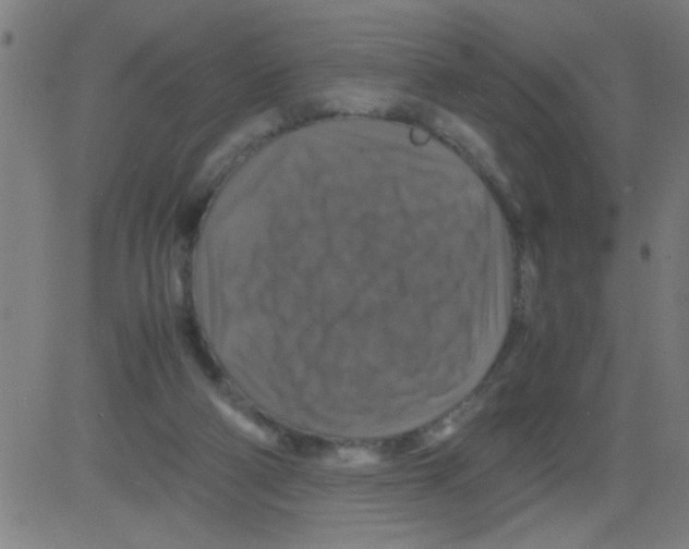 X0000081470114200702092350