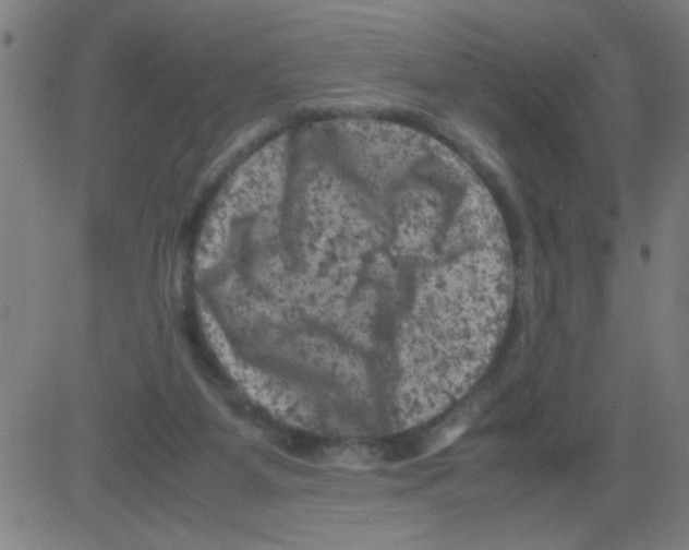 X0000081470115200702092350