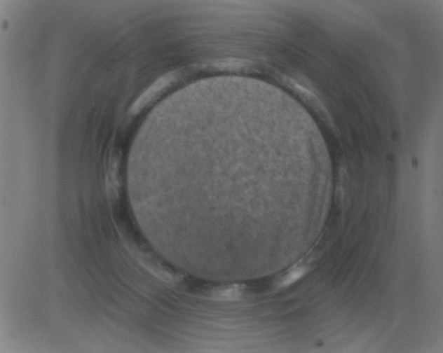 X0000081470116200702092350