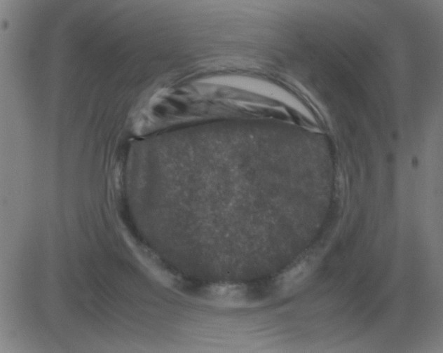 X0000081470117200702092349