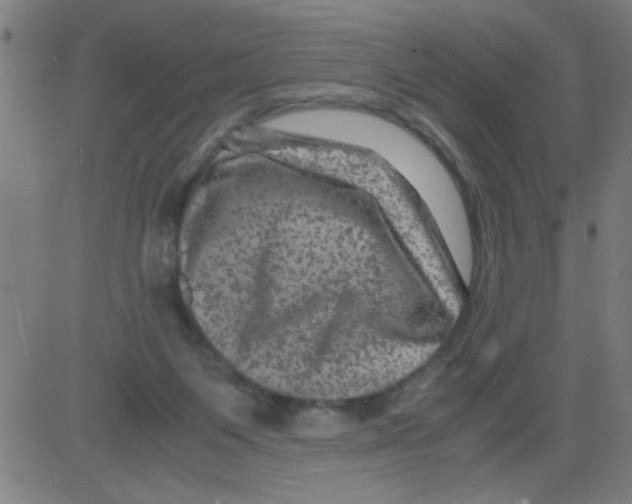 X0000081470119200702092349