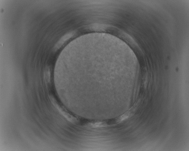 X0000081470120200702092349