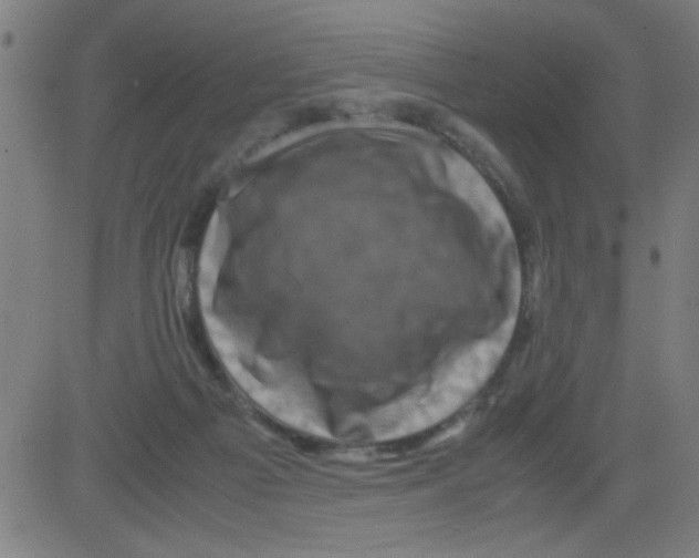 X0000081470121200702092349