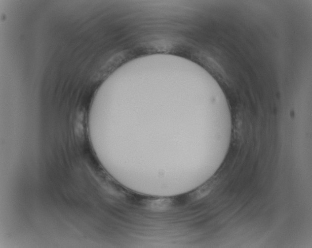 X0000081470122200702092349