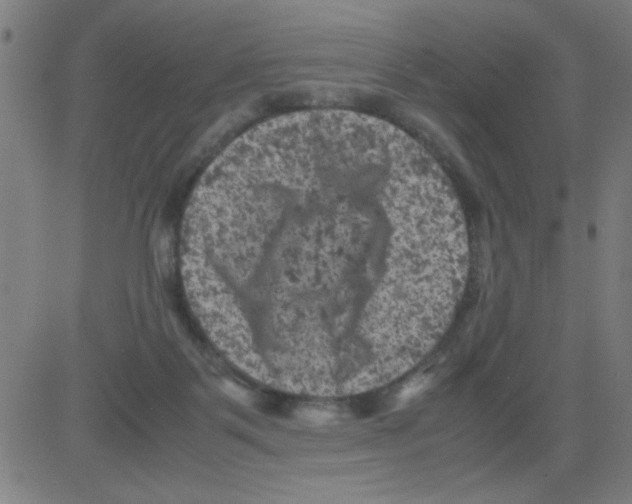 X0000081470123200702092349