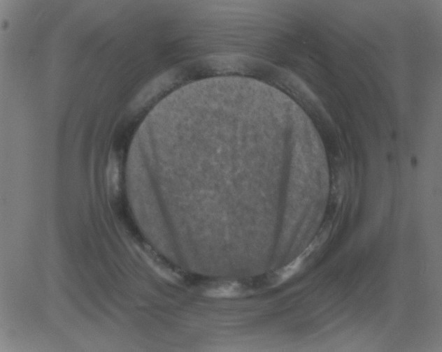 X0000081470124200702092349