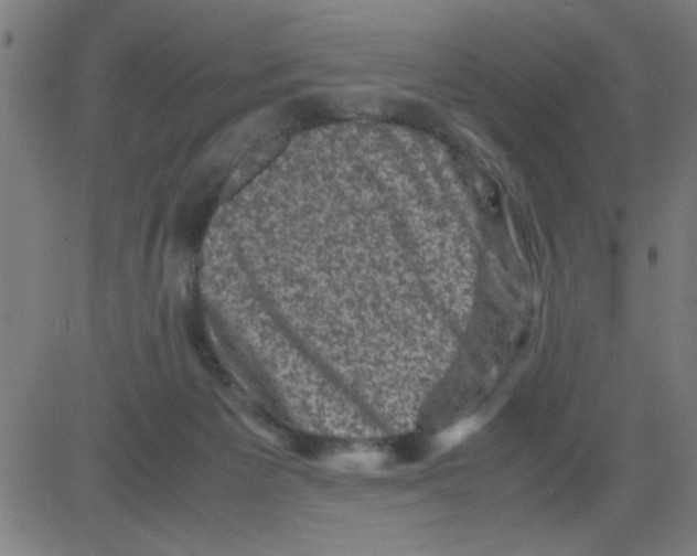 X0000081470125200702092349