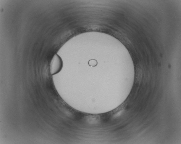 X0000081470126200702092349