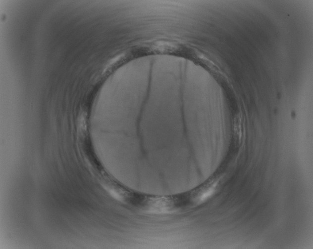 X0000081470127200702092349