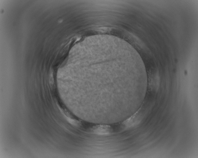 X0000081470128200702092349