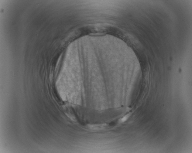 X0000081470129200702092349