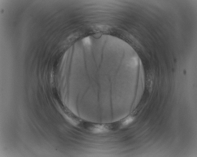 X0000081470130200702092349