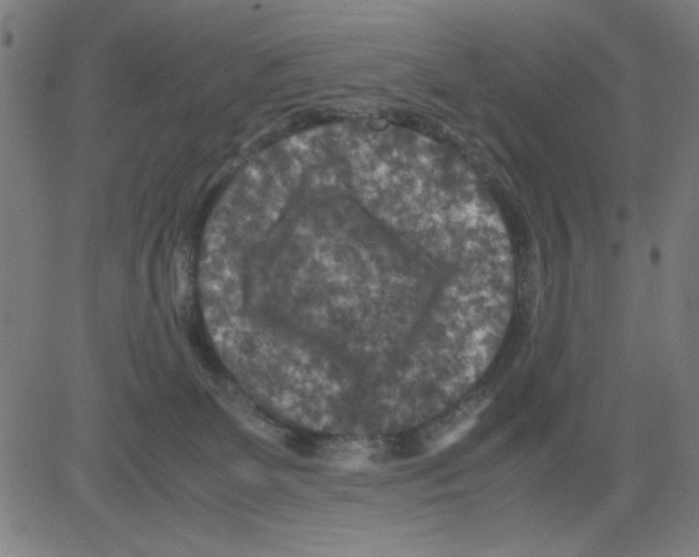 X0000081470131200702092349