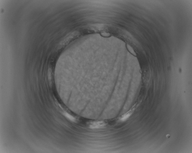 X0000081470132200702092349