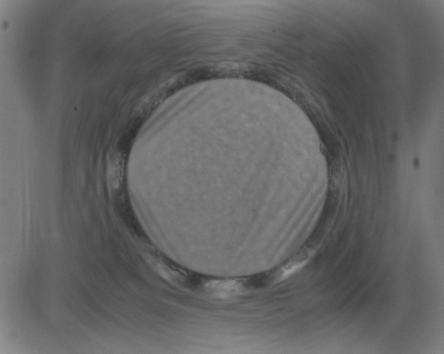 X0000081470133200702092349