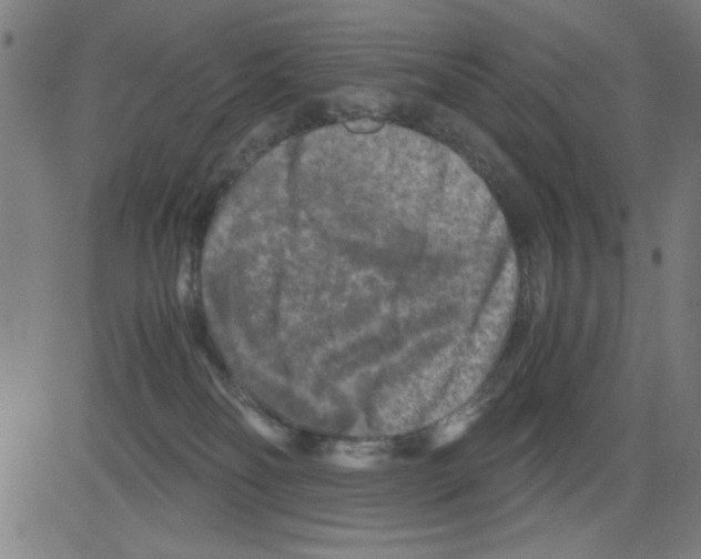 X0000081470134200702092349