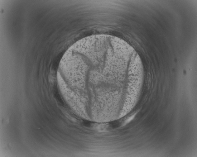 X0000081470135200702092349