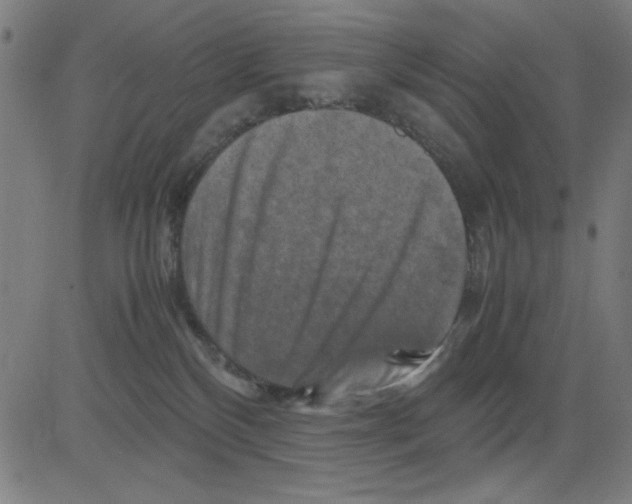 X0000081470136200702092349