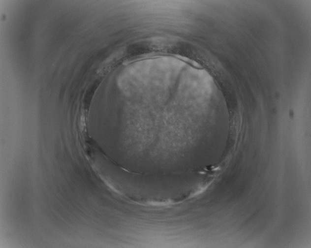 X0000081470137200702092349