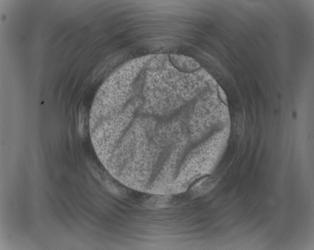 X0000081470138200702092349