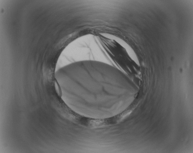 X0000081470139200702092349