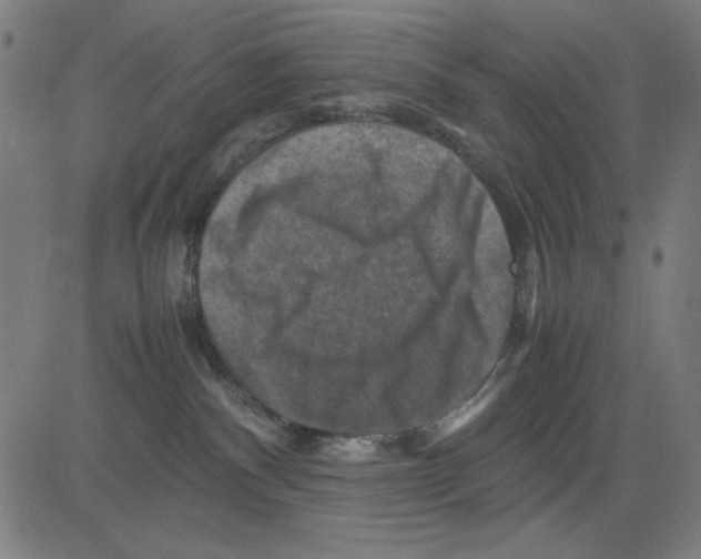 X0000081470140200702092349