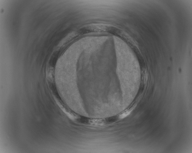 X0000081470141200702092349