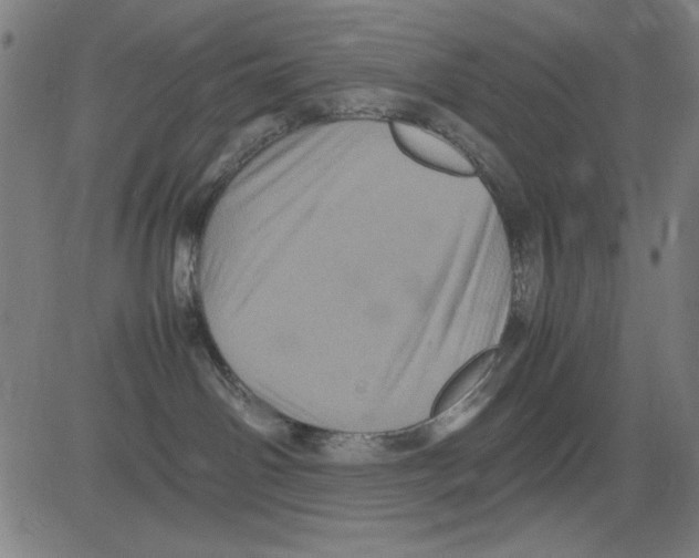 X0000081470142200702092349