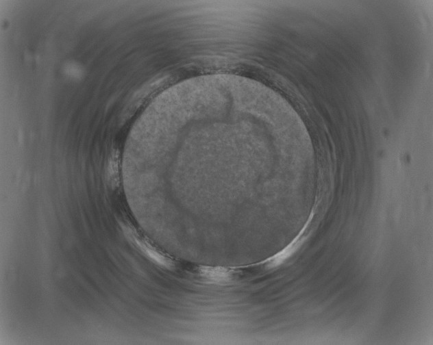 X0000081470144200702092349