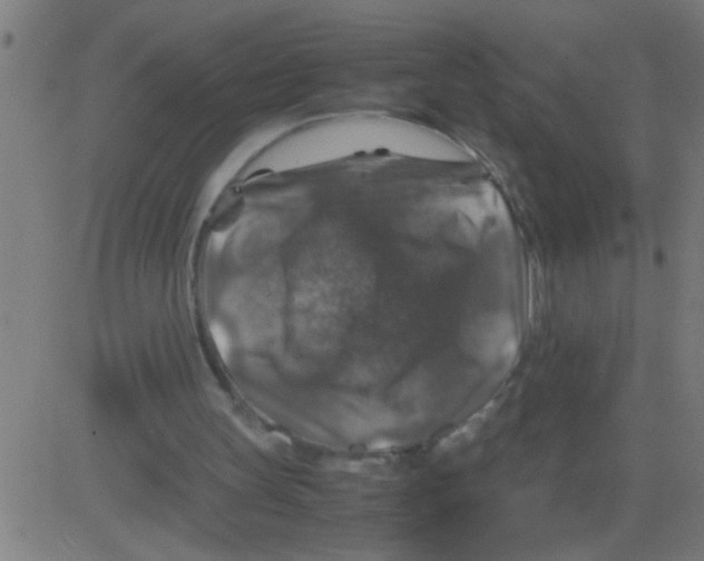 X0000081470147200702092348