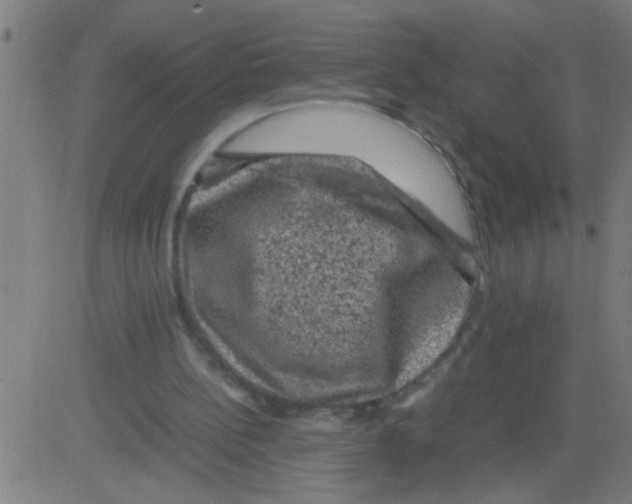 X0000081470148200702092348