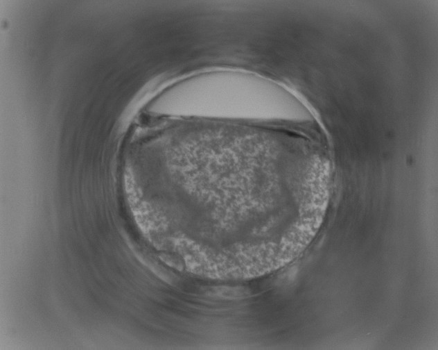 X0000081470151200702092348