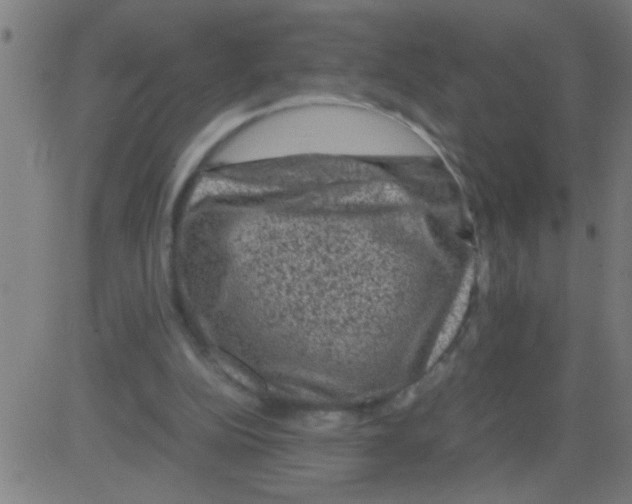 X0000081470152200702092348