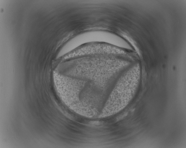 X0000081470153200702092348