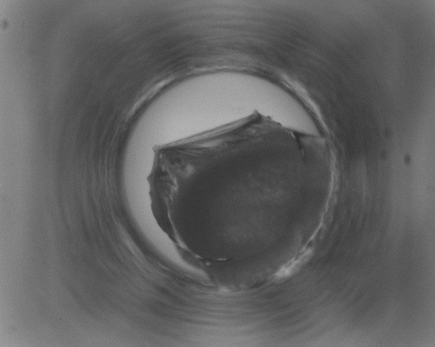 X0000081470154200702092348