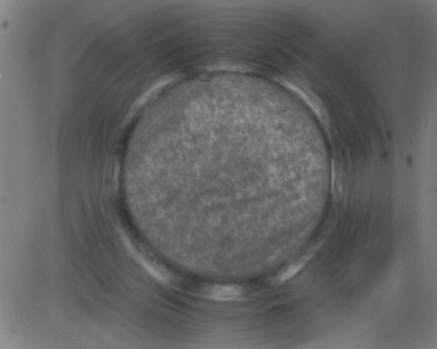 X0000081470157200702092348