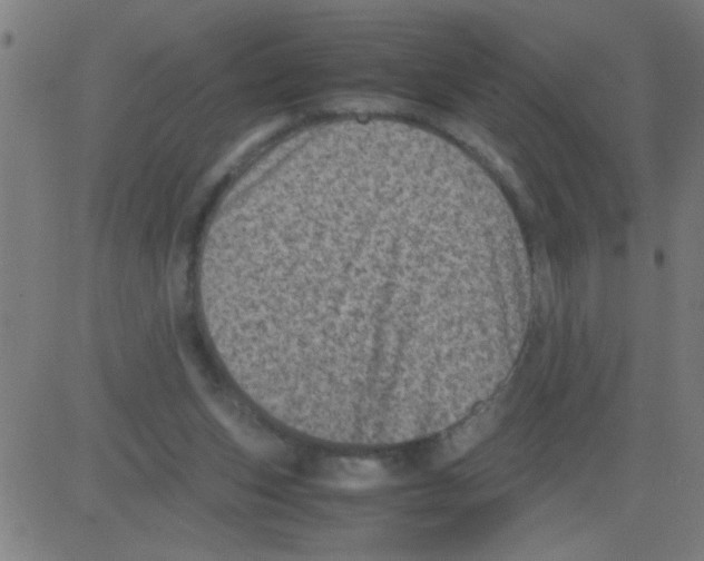 X0000081470159200702092348