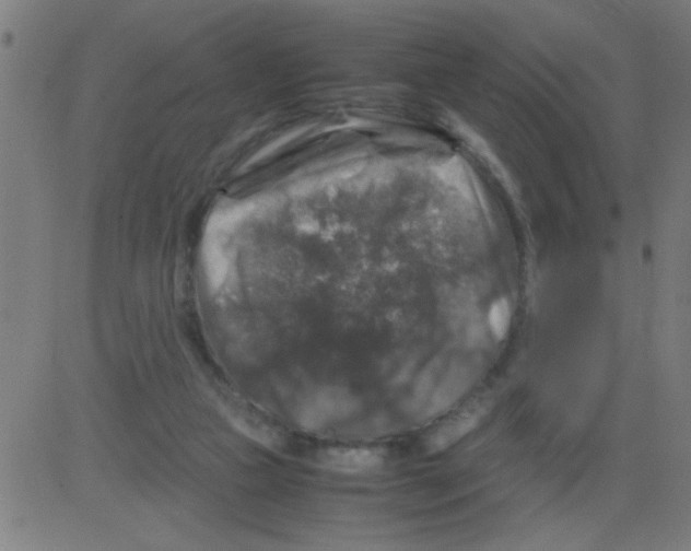 X0000081470161200702092349