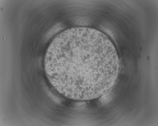 X0000081470162200702092349