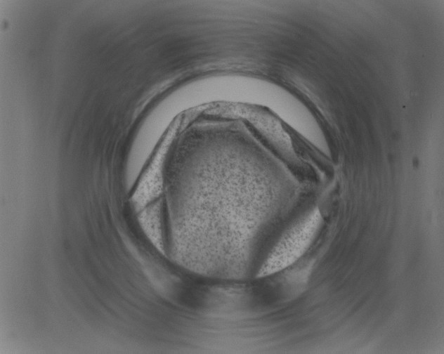 X0000081470164200702092349