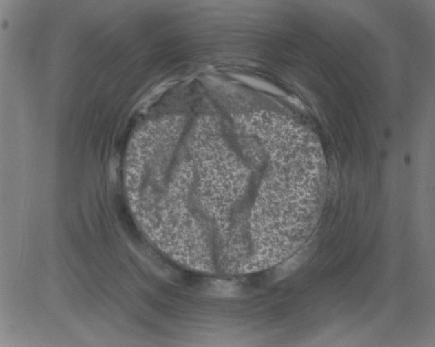 X0000081470166200702092349