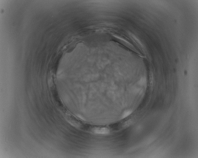 X0000081470169200702092349