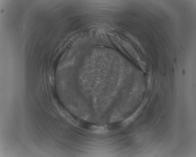 X0000081470170200702092349