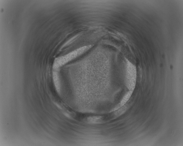 X0000081470172200702092349