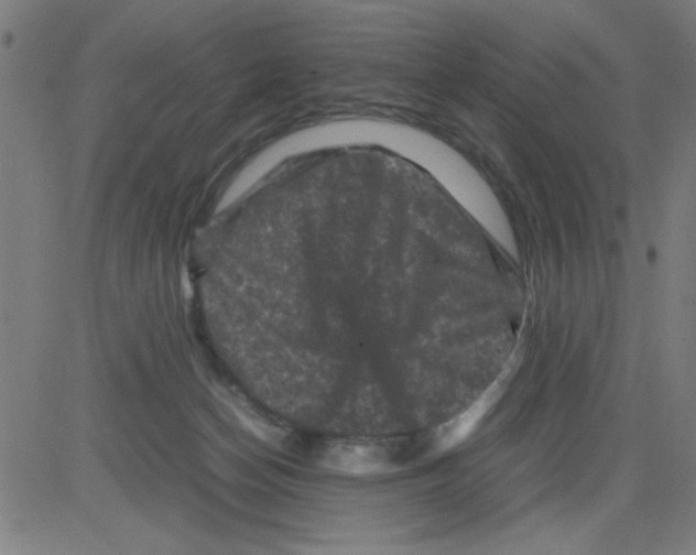 X0000081470174200702092349