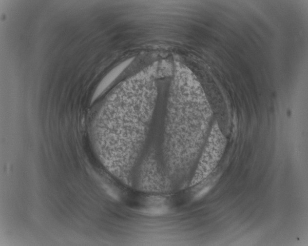 X0000081470176200702092349