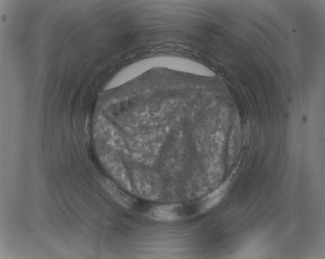 X0000081470178200702092349