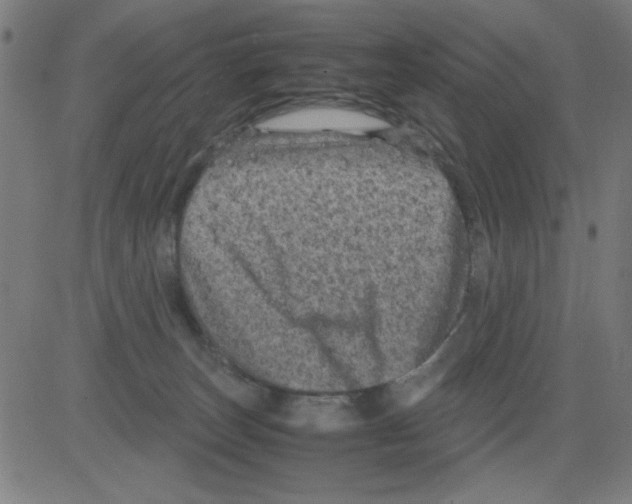 X0000081470179200702092349