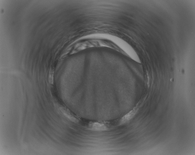 X0000081470180200702092349